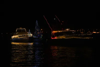 DSC_2488 (Large).JPG